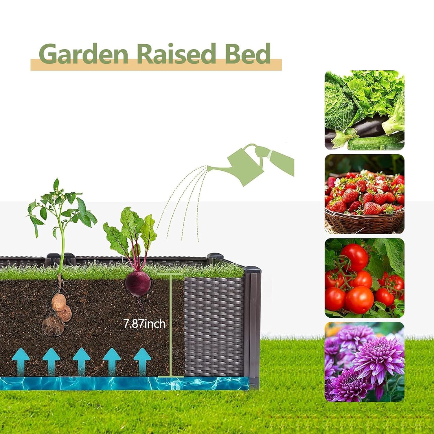 자가 급수식 높이형 정원 화분 – 160cm 대형 플라 - Outdoor Daybed Furniture 리뷰 및 가격